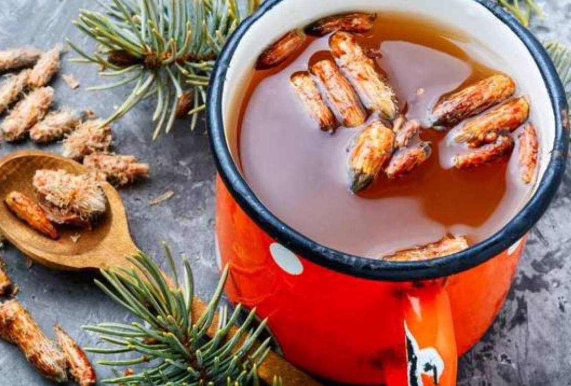 Pronat magjike të çajit të pishës!