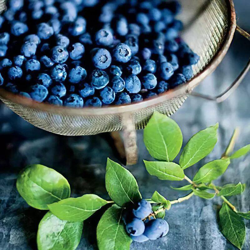 Mjedrat ulin rrezikun e sëmundjeve të zemrës!